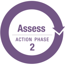 Assess Action Phase 2